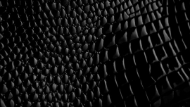 پارچه زیستی یا بیو پارچه چیست؟ Biofabrics   