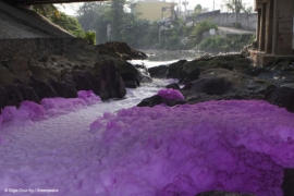 Fashion&#039;s Environmental Impact