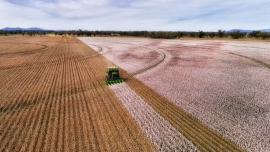 پیشرفت صنعت پنبه جهت برآورده کردن تقاضا برای پایداری Cotton Industry Rises to Meet Demand for Sustainability