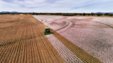 پیشرفت صنعت پنبه جهت برآورده کردن تقاضا برای پایداری Cotton Industry Rises to Meet Demand for Sustainability