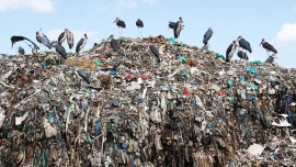 تأثیرات مضر ضایعات پارچه Harmful Effects of Textile Waste