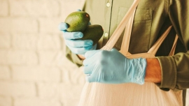 حراست از پایداری پس از بحران کووید- ۱۹ Safeguarding Sustainability Post Covid-19