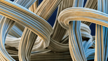 الیاف الاستومری  Elastomeric Fibers