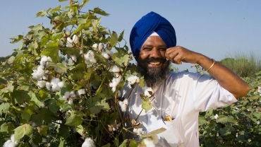 ایران کانونی برای صادر کنندگان پنبه هند