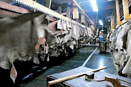 ایجاد شهرک فناوری چرم، کفش و مصنوعات چرمی تبریز در دستور کار دولت